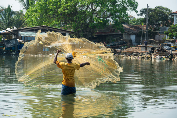 Casting a Net #2