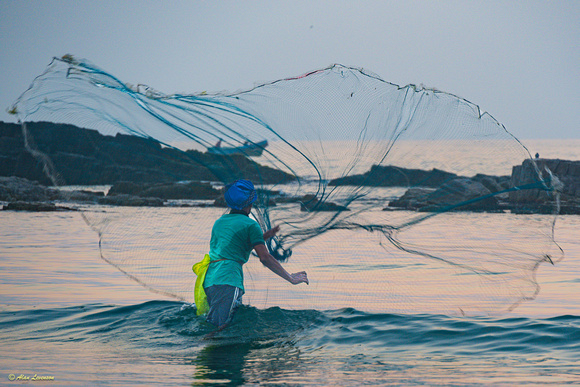 Casting a Net #8