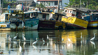 Sri Lnka (10 of 205)