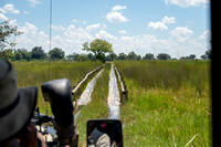 Bridge