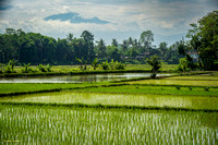 Indonesia (17 of 156)