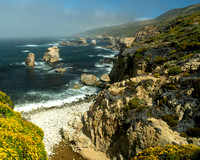 Garrapata Beach (7 of 8)