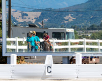PonyRide #5