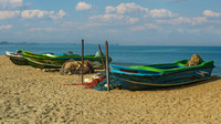 Sri Lanka #2