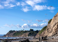 Hang gliders #2-0358