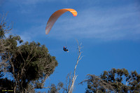 Hang gliders #4-0324